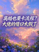 离婚也要卡流程？大佬的借口太假了