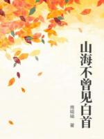 山海不曾见白首