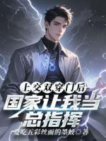 上交双穿门后，国家让我当总指挥
