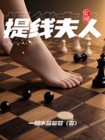 官场：提线夫人