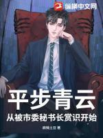 平步青云：从被市委秘书长赏识开始