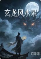 玄龙风水录