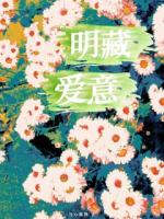 明藏爱意