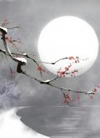 蝴蝶折翼赴鲸落