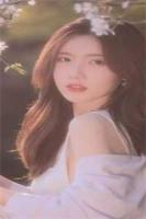 春朝不见枯叶蝶