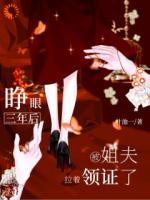 睁眼三年后，被姐夫拉着领证了