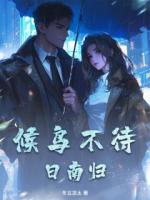 候鸟不待日南归