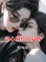铭心刻骨的复婚