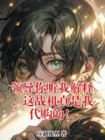 领导你听我解释，这战机真是我代购的！