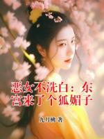 恶女不洗白：东宫来了个狐媚子