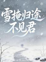 雪掩归途不见君