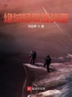 绝域轻骑催战云