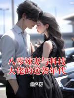 八零辣妻与科技大佬的逆袭年代