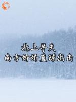 北上寻夫，南方娇娇直球出击