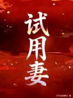 试用妻