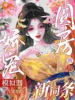 靠模拟器肝成满级大佬