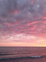 重生后，老公选择另娶她人