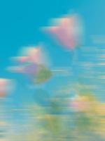 太子爷重金请我，专治绿茶小妈