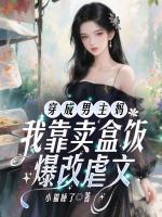 穿成男主妈，我靠卖盒饭爆改虐文