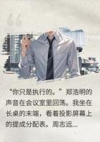项目提成缩水100倍后，我把甲方带去了竞对