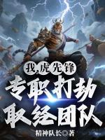 我，虎先锋，专职打劫取经团队