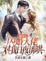 碰瓷后，闪婚大佬独宠我